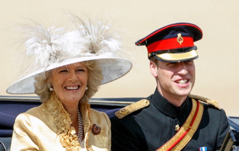  Prince William & Queen Camilla Scheming To Keep Harry Out of the Kingdom?